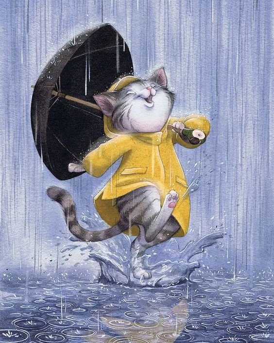 chat-qui-danse-sous-la-pluie.jpg