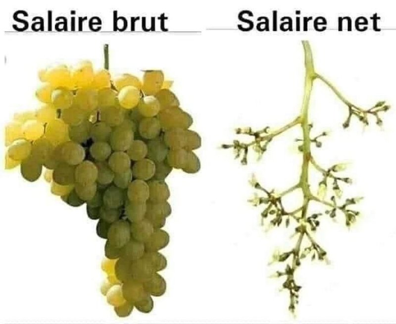 salaire-brut-vs-net.jpeg