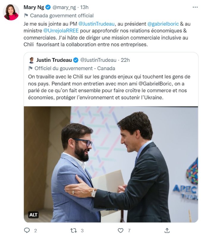 tweet-de-mary-ng.jpg