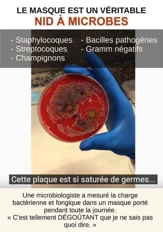 masque-nid-a-microbes.jpg