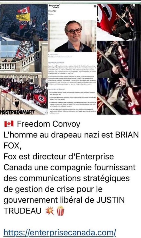 brian-fox.jpg