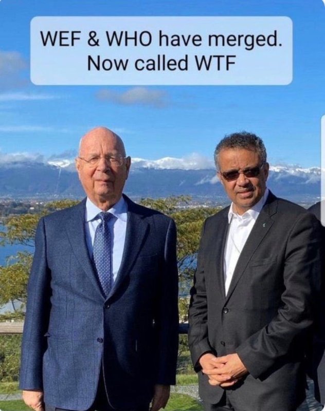 le-wtf.jpg
