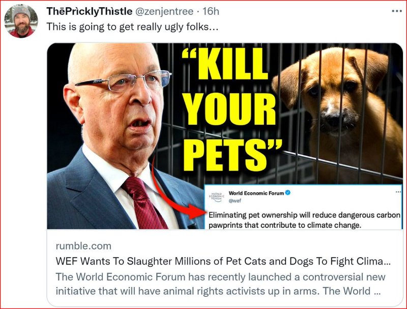 klaus-schwab-veut-tuer-les-chiens-et-les-chats.jpg