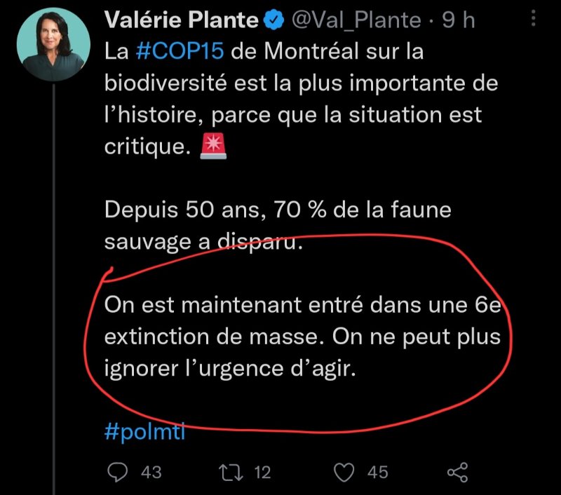 valerie-plante-et-sa-6e-extinction-de-masse.jpg