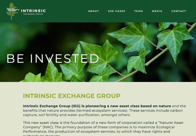 3-intrinsic.jpg