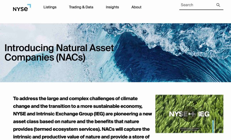 1-nyse-nac.jpg