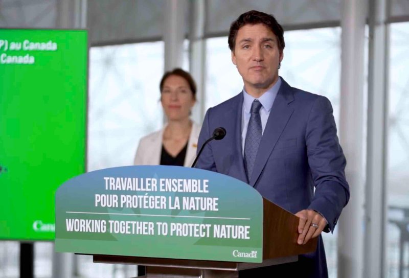 justin-trudeau-qui-depense-800m-de-notre-argent.jpg