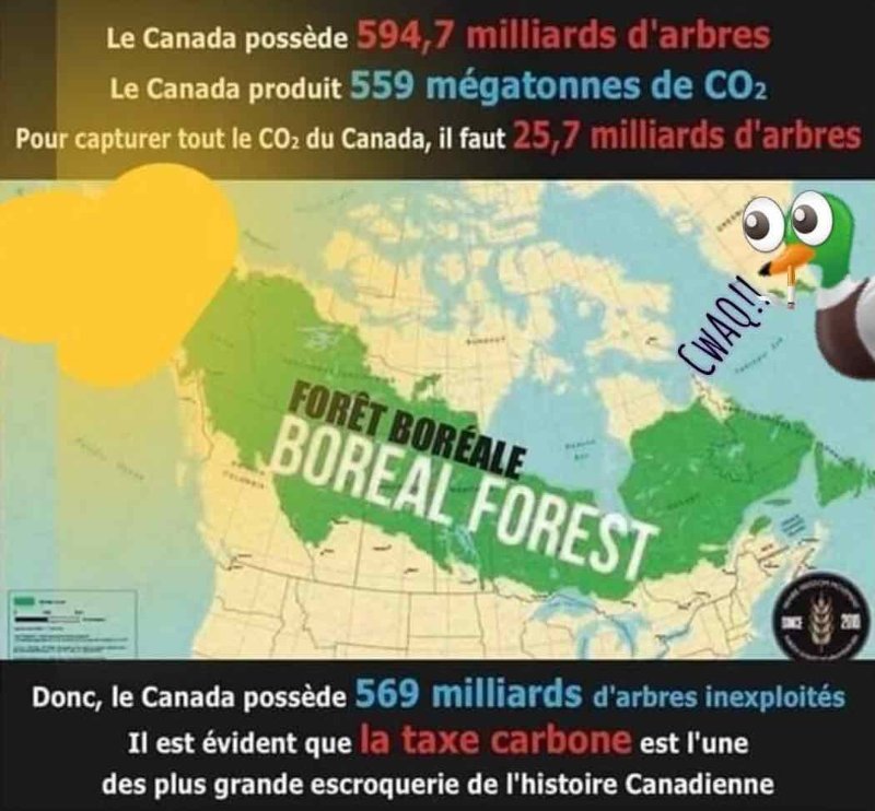 la-verite-sur-le-carbone-au-canada.jpeg