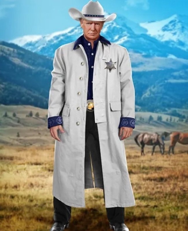 cartes-de-trump-3.jpg