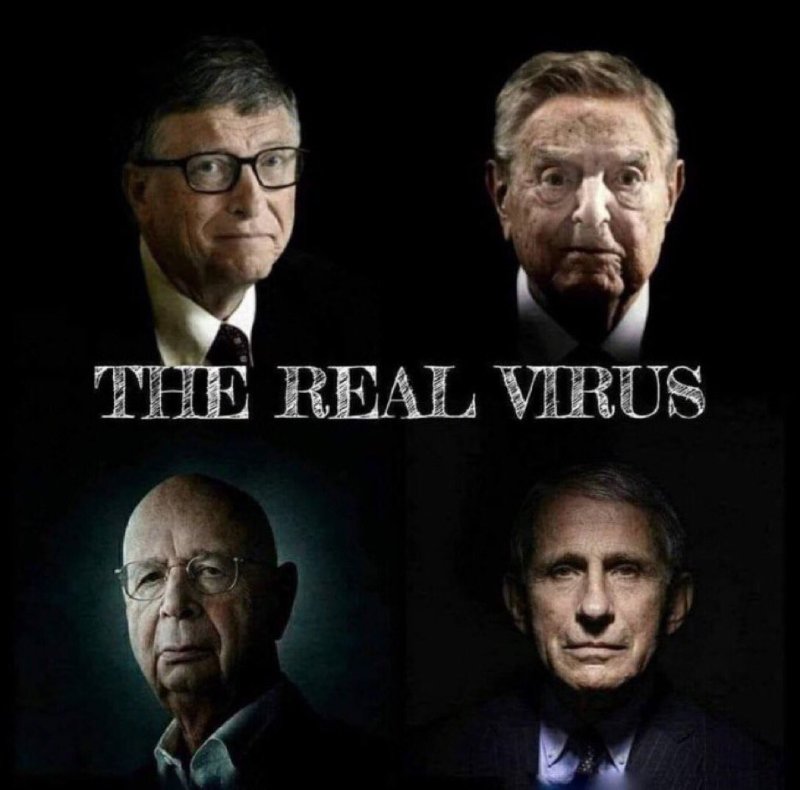 le-vrai-virus.jpg