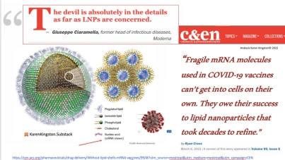 les-nanoparticules-causent-les-cancers-mais-ils-font-croire-que-c-est-a-cause-des-virus.png