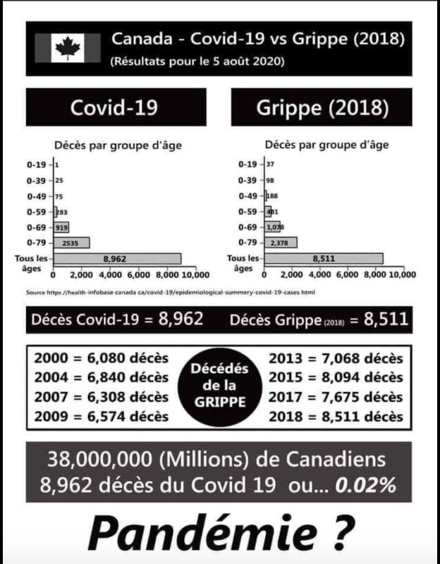 il-n-y-a-pas-de-pandemie.jpg