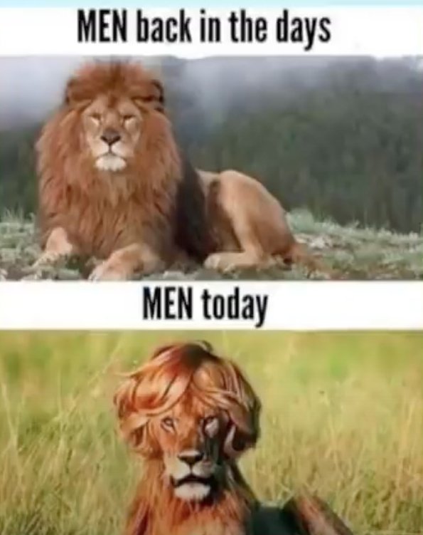 les-hommes-aujourd-hui.jpg