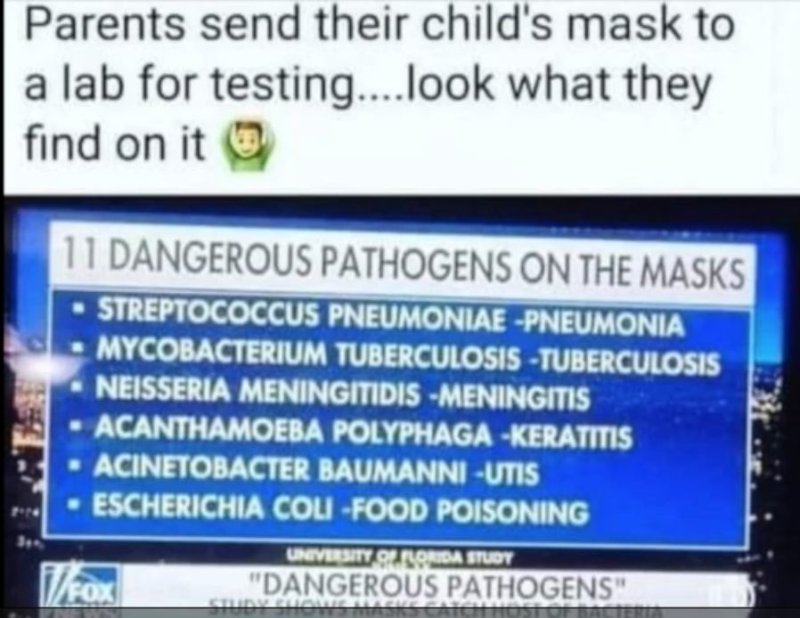 voici-ce-qui-a-ete-trouve-dans-les-masques-des-enfants.jpg