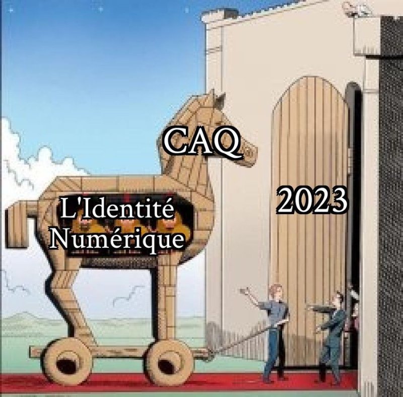la-caq-et-son-id-numerique.jpg