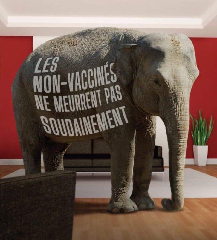 les-non-vaccines-ne-meurent-pas-soudainement.jpg