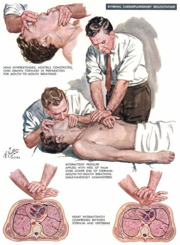 illustration-de-frank-h-netter.jpeg