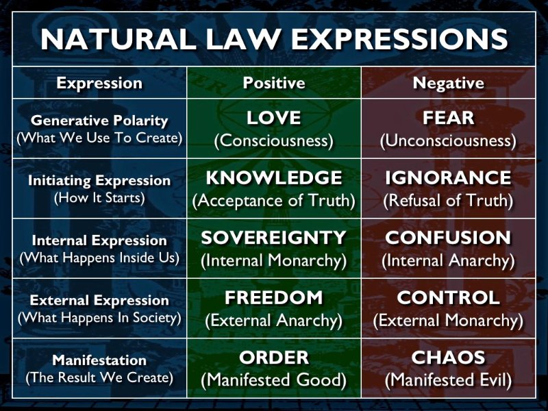 les-lois-naturelles-de-l-expression.jpg