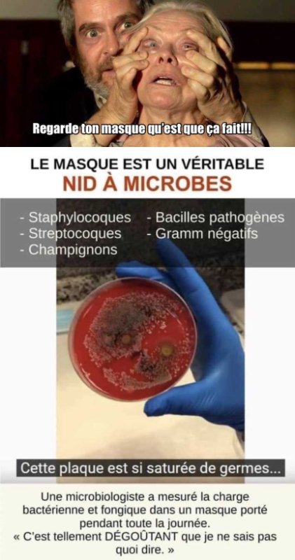 le-masque-est-un-nid-a-microbes.jpg