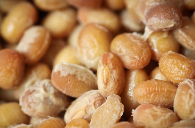feves-de-soya-fermentee-nattokinase.jpg
