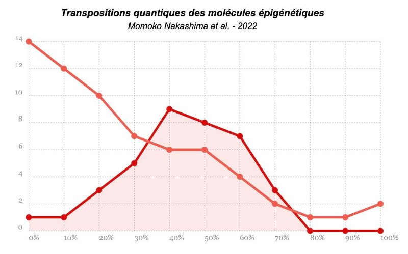 transpositions-quantiques.jpg