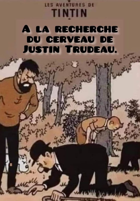 a-la-recherche-du-cerveau-de-justin-trudeau.jpg