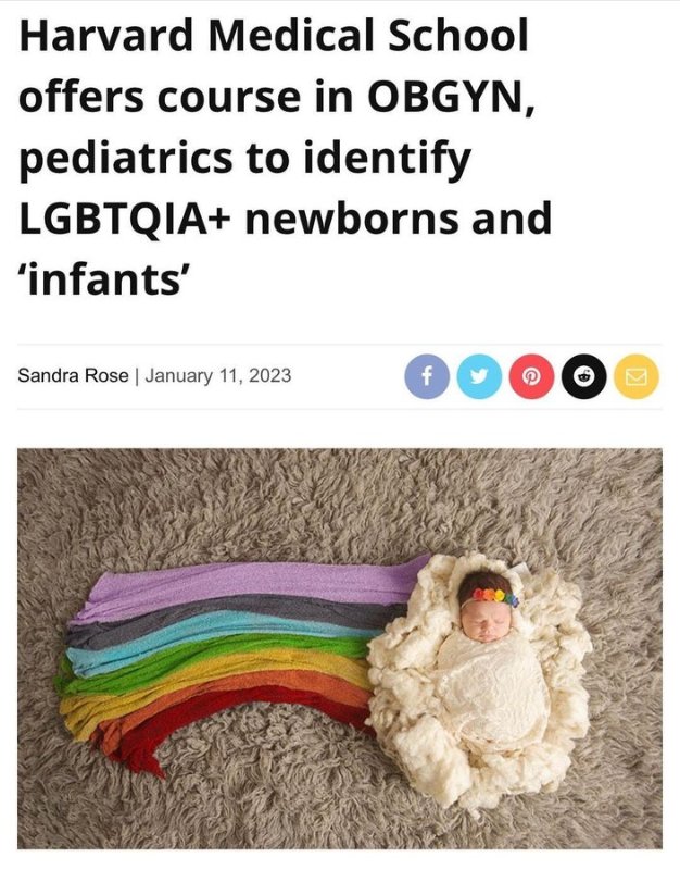 cours-pour-reconnaitre-les-bebes-lgbt.jpg