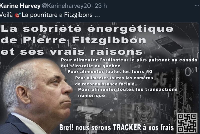 la-pourriture-de-fitzgibbon.jpg