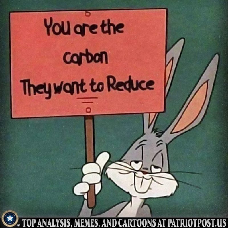 vous-etes-le-carbone-qu-ils-veulent-reduire.jpg