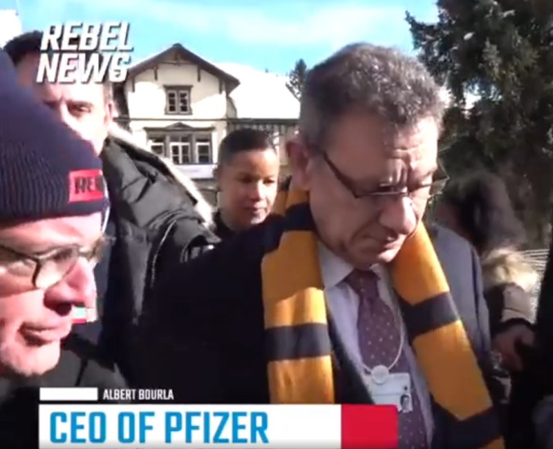 le-pdf-de-pfizer-albert-bourla-interroge-par-rebel.jpg