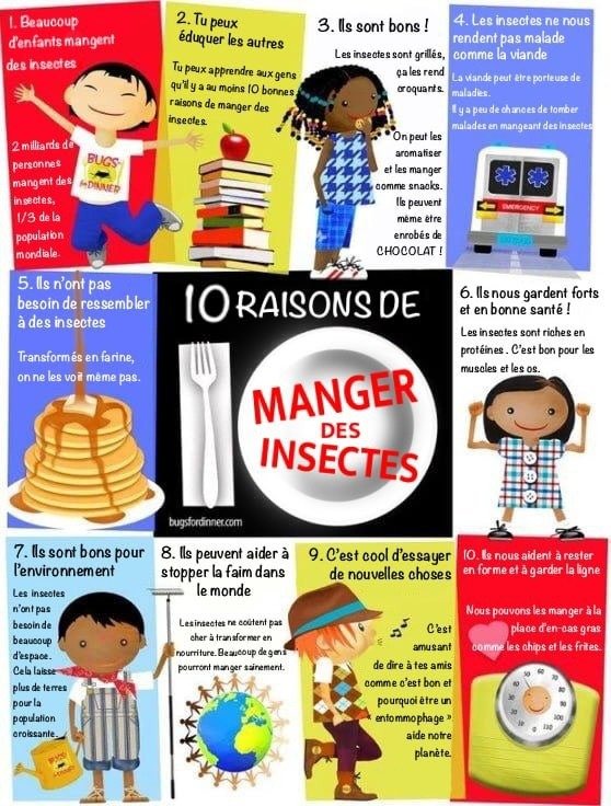 la-propagande-visant-a-faire-manger-des-insectes.jpg