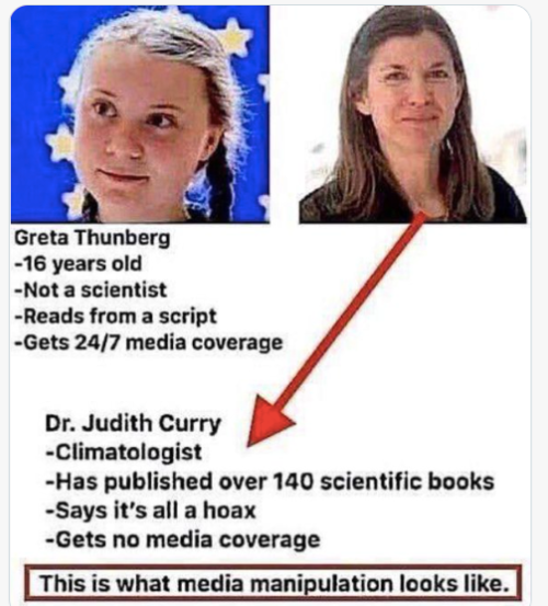 greta-thunberg-est-de-la-manipulation-mediatique-et-rien-d-autre.png
