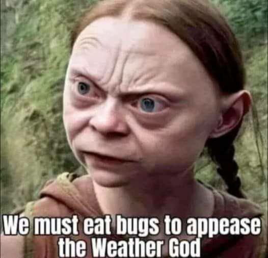 nous-devons-manger-des-insectes-pour-apaiser-les-dieux-du-climat.jpg