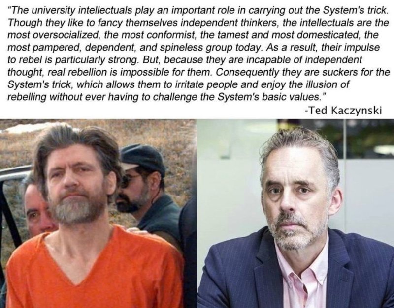 intellectuals-from-brasil-et-jordan-peterson.jpeg
