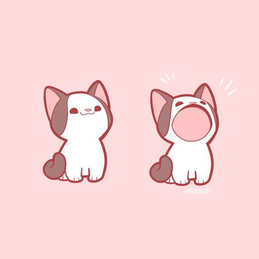 chats-qui-discutent-ou-pas.jpg