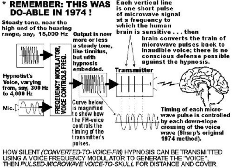 modulateur-de-frequences-pour-le-controle-de-la-voix.JPG
