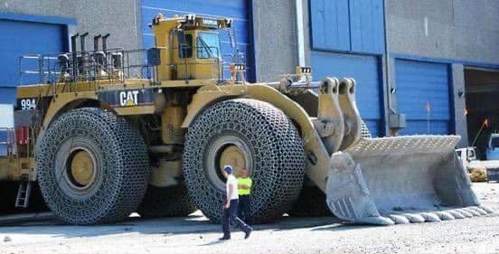 cat994a.jpg