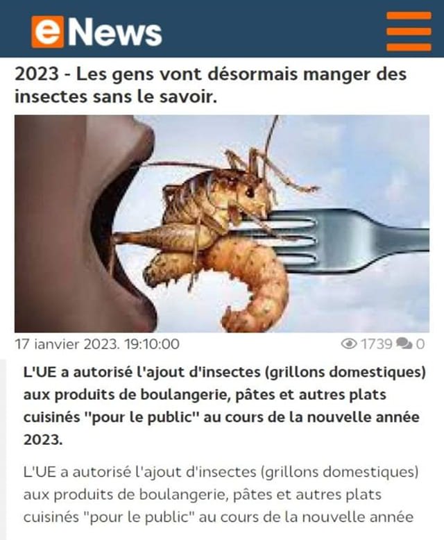 manger-des-insectes-sans-le-savoir.jpg