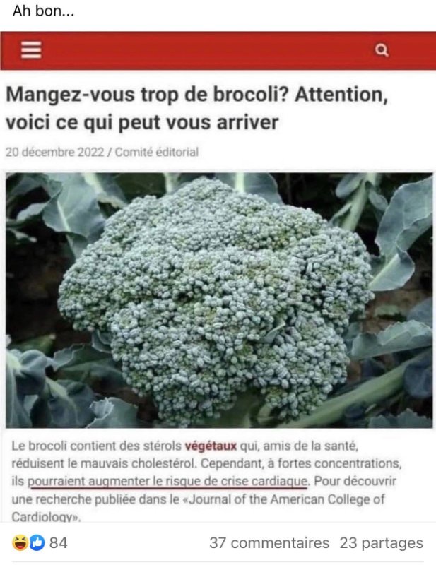 manger-du-brocoli.jpeg