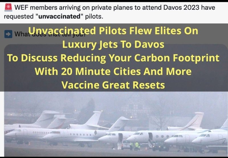 des-pilotes-non-vaccines-pour-l-elite.jpeg