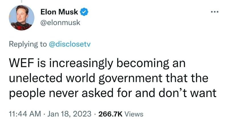 le-fem-qui-devient-un-gouvernement-mondial.jpeg