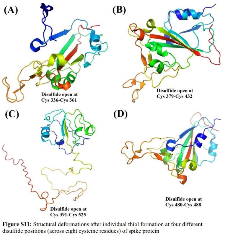 deformations-structurelles-suite-au-nac-de-la-proteine-spike.JPG