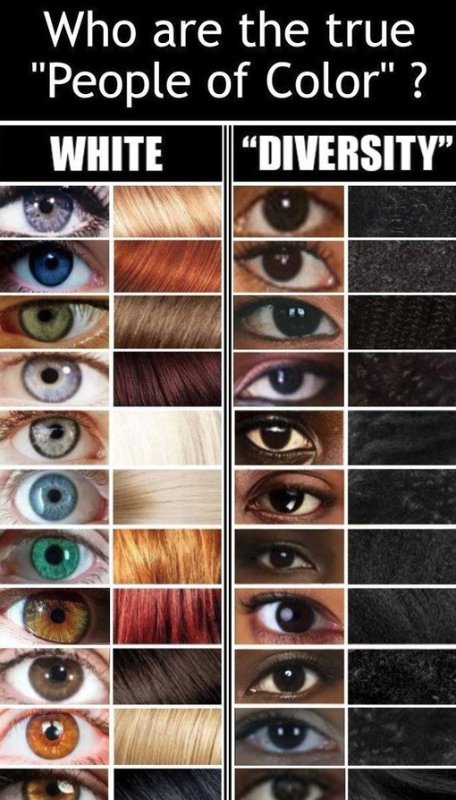 la-diversite-des-caucasiens.jpg