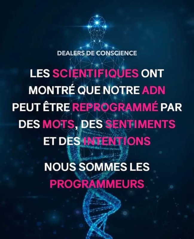nous-sommes-les-programmeurs.jpg