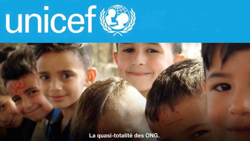 les-ong-sont-en-liesse-avec-l-onu.jpg