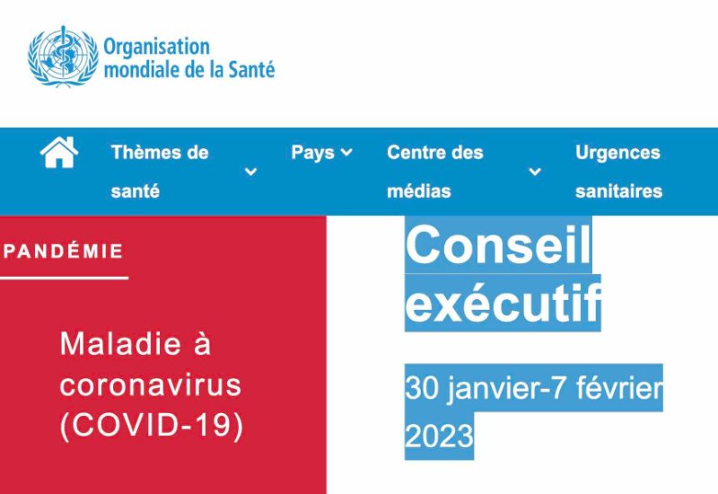 la-crise-pandemique-de-l-oms-5-fevrier-2023.jpg