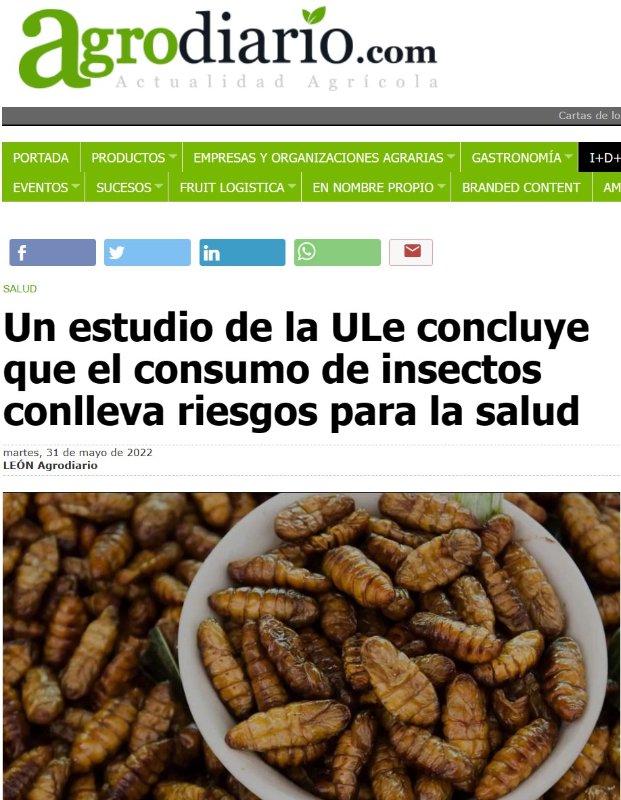 consommation-d-insectes.jpg