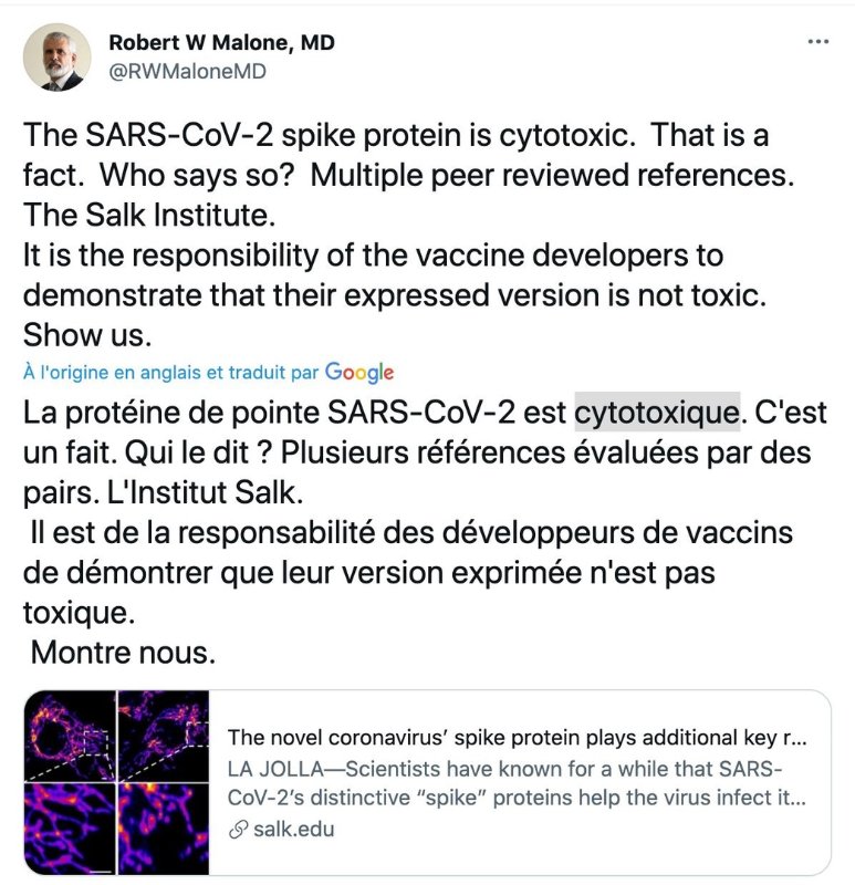 la-proteine-s-est-cytotoxique-institut-salk.jpg