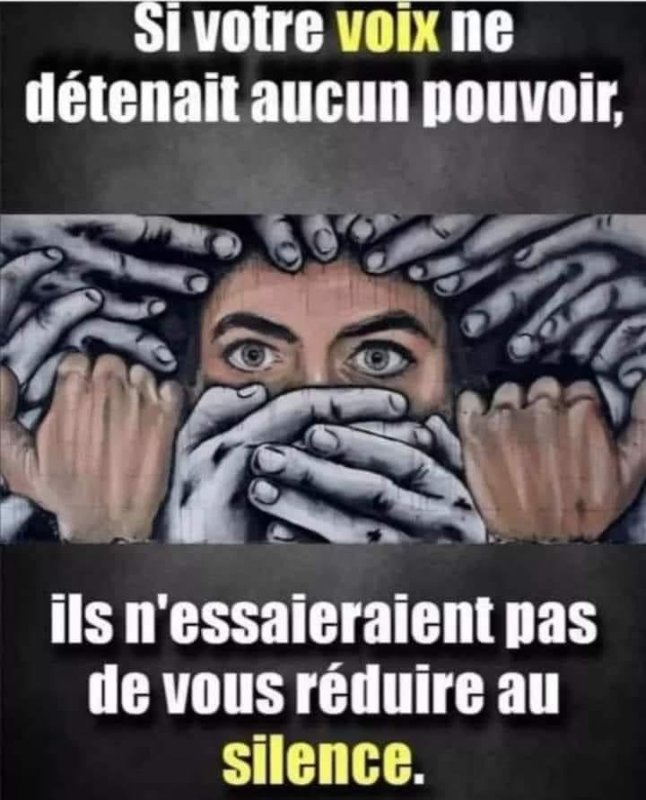 ils-essaient-de-nous-reduire-au-silence.jpg