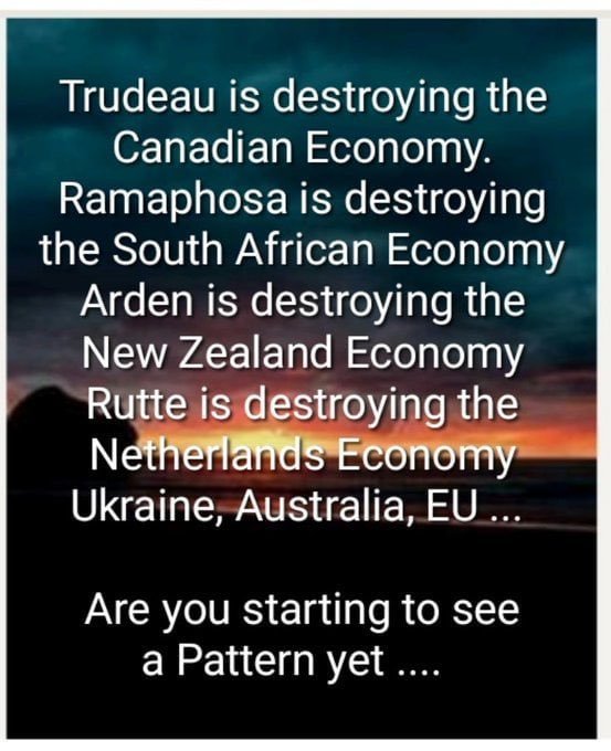 les-mondialistes-detruisent-les-pays-occidentaux.jpg